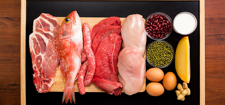 Foods rich in protein