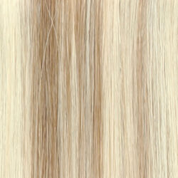 Champagne Blonde