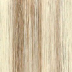 Champagne Blonde