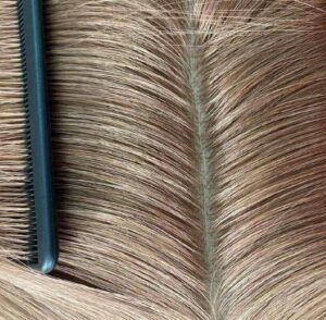 Silk Closures shade
