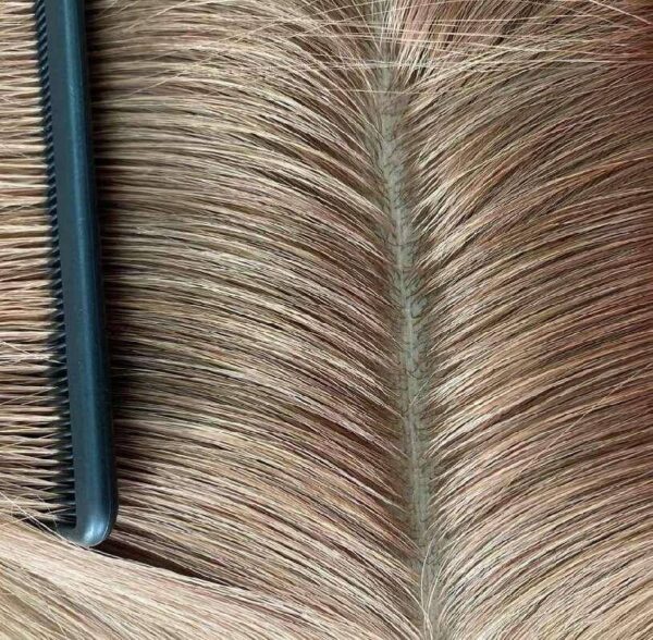 Silk Closures shade