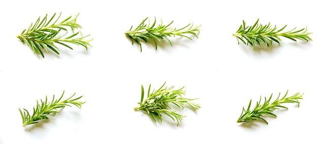 rosemary oil